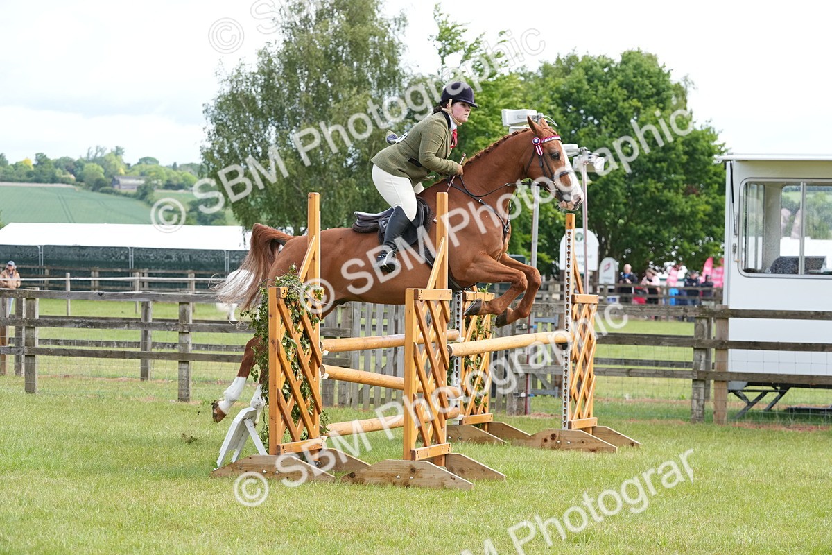 SBM_12908 - Class 99 - RIHS SEIB Working Show Horse