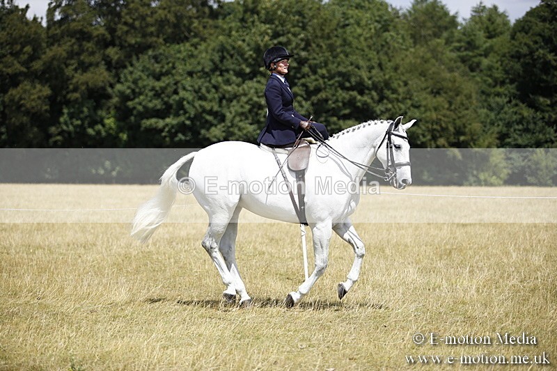 _C7A0223 - Side Saddle Classes BVRC Show 2018