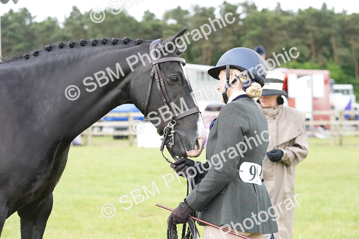 SBM_12766 - Class 97-98 - LIHS BSHA Rising Star Working Show Horse Hunter