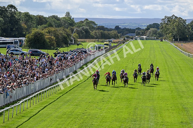 050926-Race 3-Dontlookanyfurther-3441 - Race 3 2.40pm British Stallion Studs EBF Restricted Novice Stakes