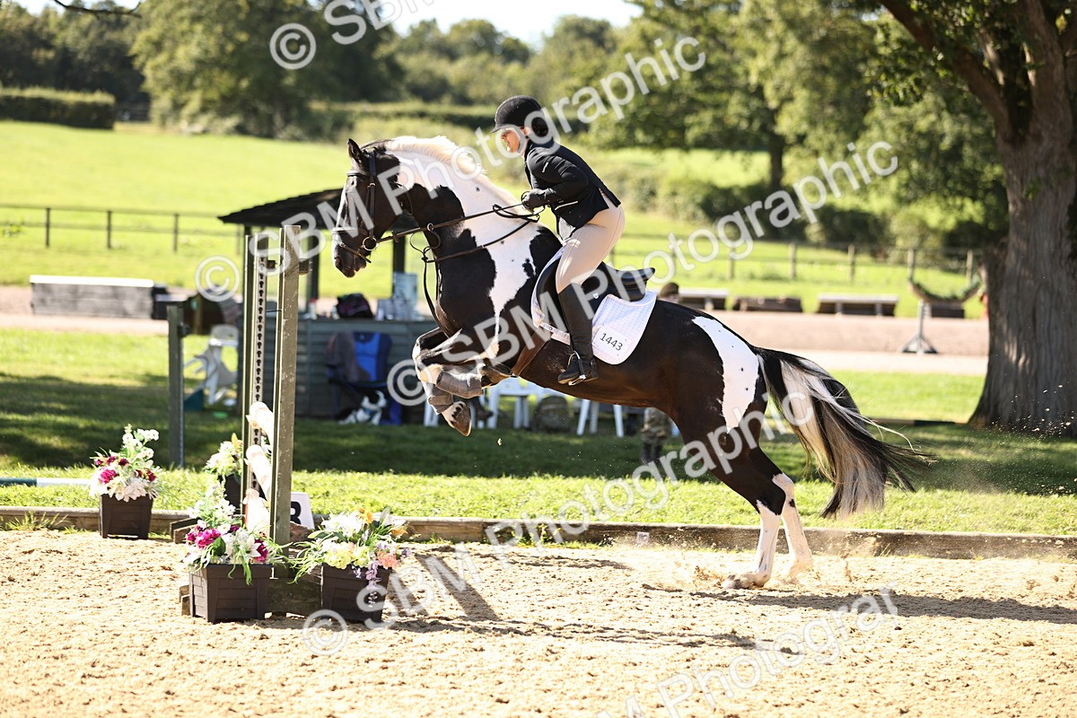 SBM_38403 - J39 - Senior 85cm Championship