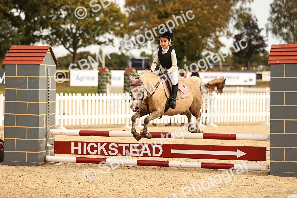 SBM_70826 - J13 - Junior Pony 60cm Championship