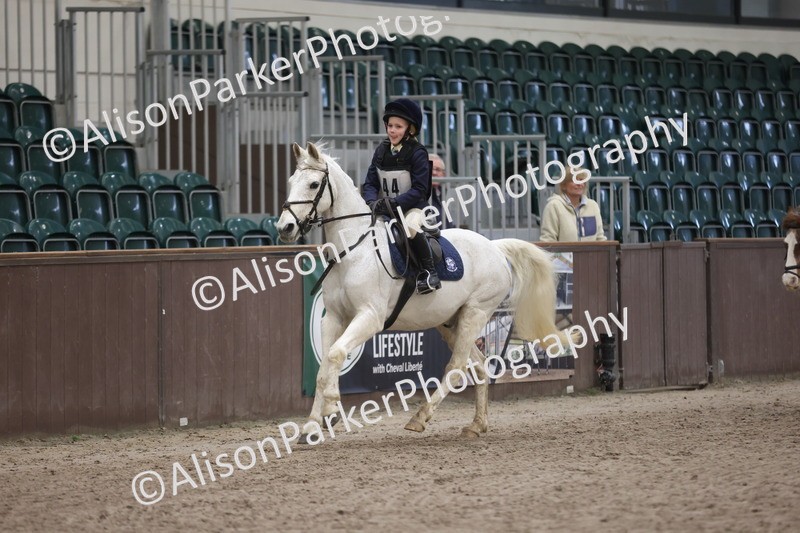 20260125-1754 - Class 2 - 50cm