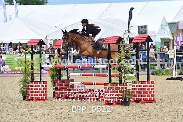 BPP_0522 - RHS 2019 Selection - *Just some random spectator shots so Lucky Dip if you are there!