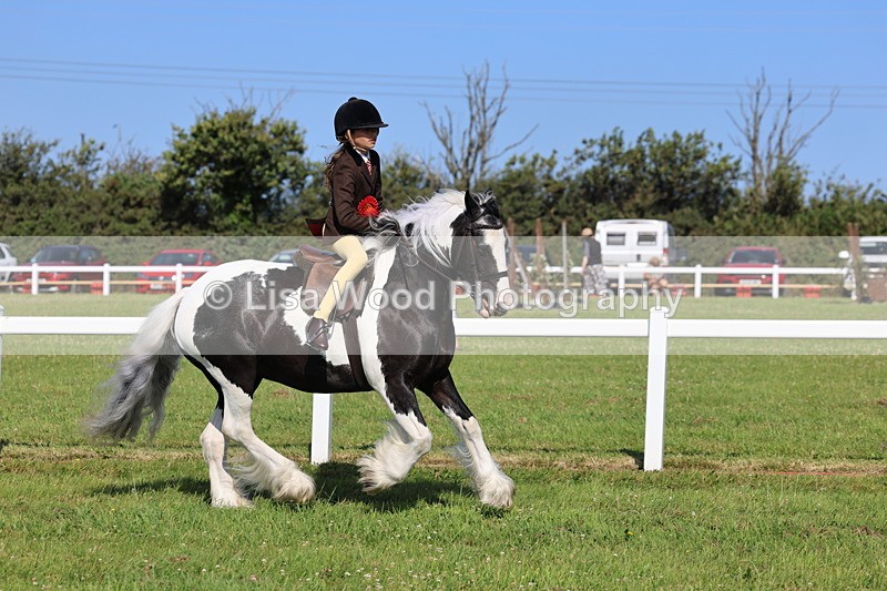 IMG_1638 - Skewbald and Piebald Ridden Championship