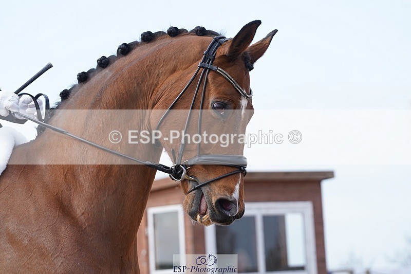 250403-110116-00817 - 005-Sara-Jane.Lanning-Choice