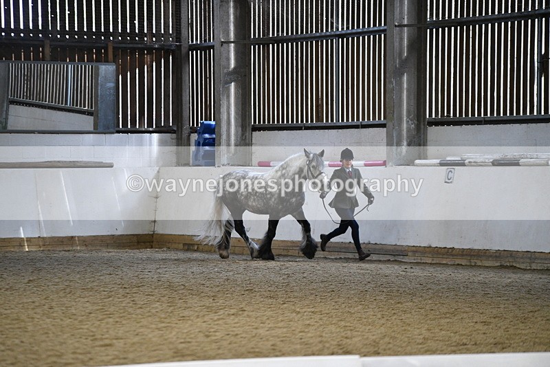 WJ5_5196 - Class 8 In hand cob