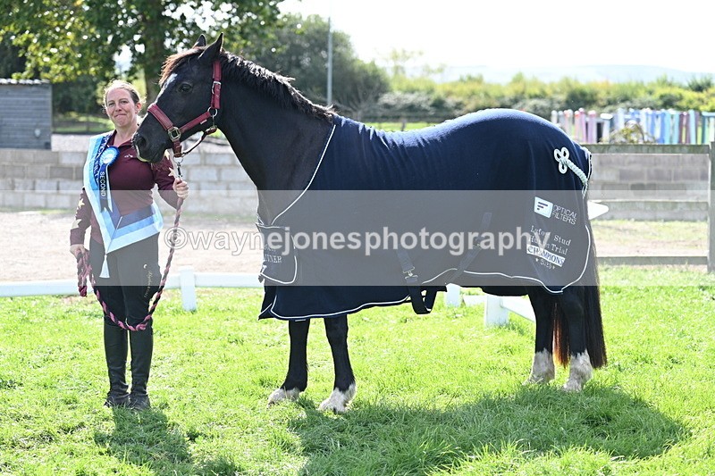 WJ7_1733 - 80cm Champs