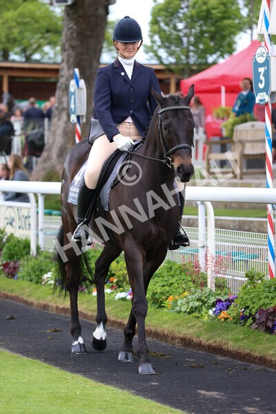 yr22052022r8e-84 - ROR - Parade Ring York