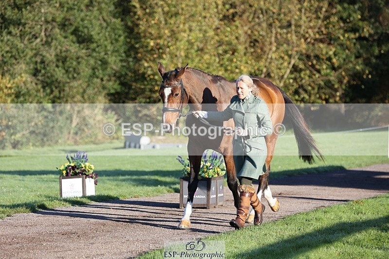 241027-083728-14702 - 378-Fern.Hordern-SHES.ALL.THAT