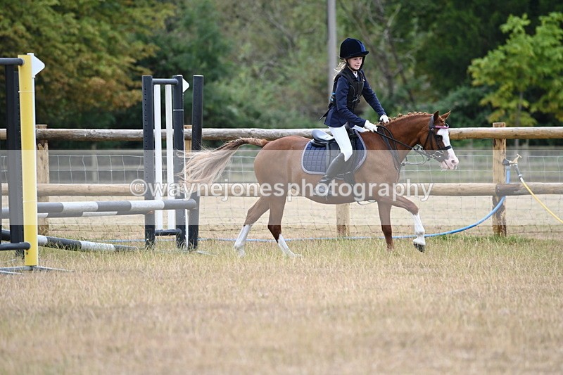 WJ6_0325 - Class 13 Novice Jumping 60cm