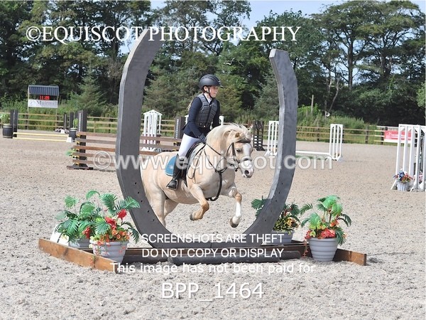 BPP_1464 - DERBY CLASS 3 - 40CM