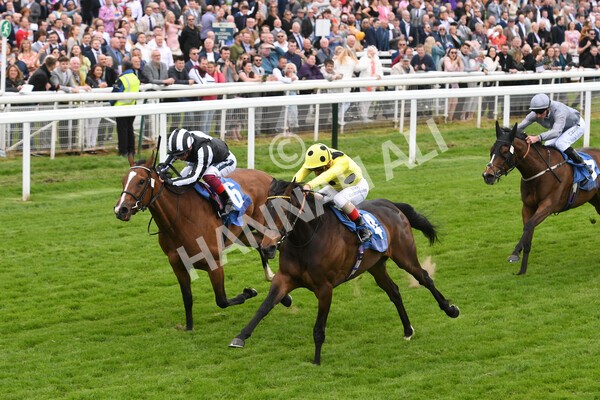 yr13052022r2-25 - Race 2 2.25pm Oaks Farm Stables Fillies' Stakes (registered as the Michael Seely Memorial Stakes)