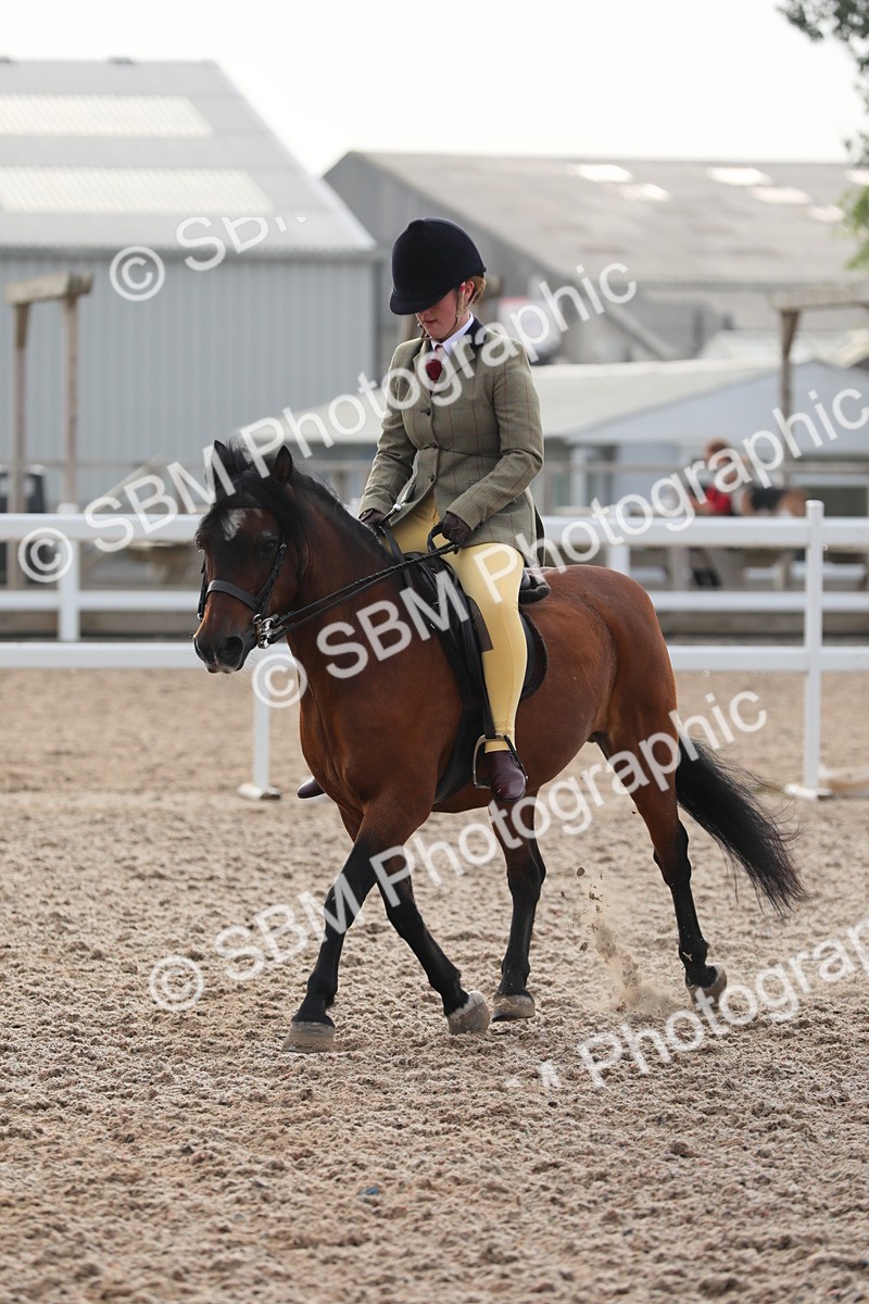 SBM_09642 - Class 301 Ridden M&M -Small Breeds