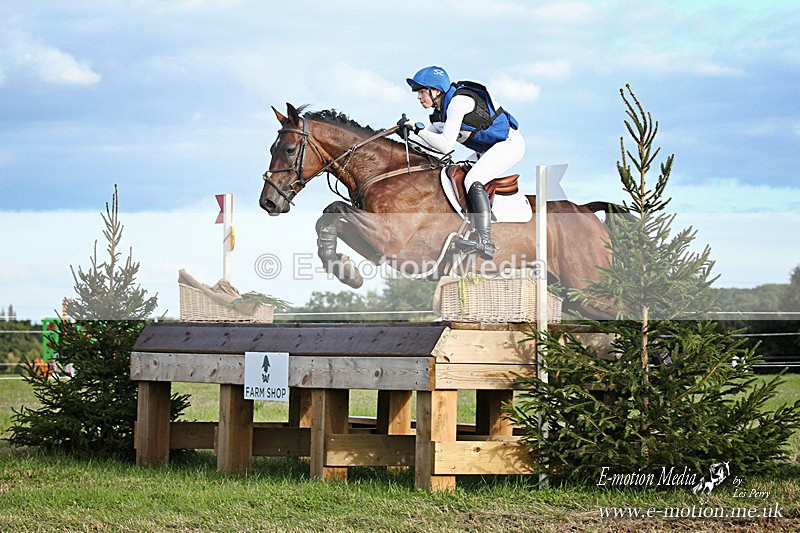 HT 310820 -2290a - Equestrian