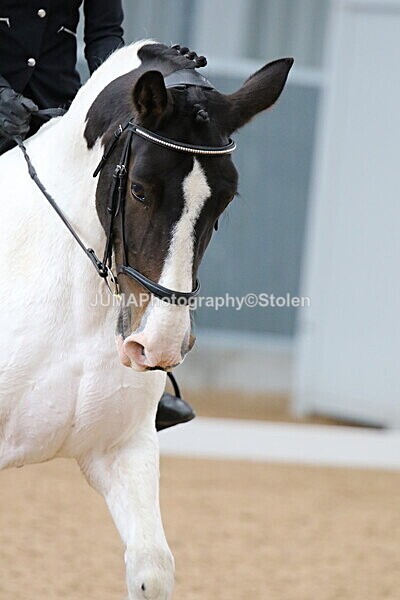 SIAL9620 - GDG Bogenraith Friday 26th Sept 2025