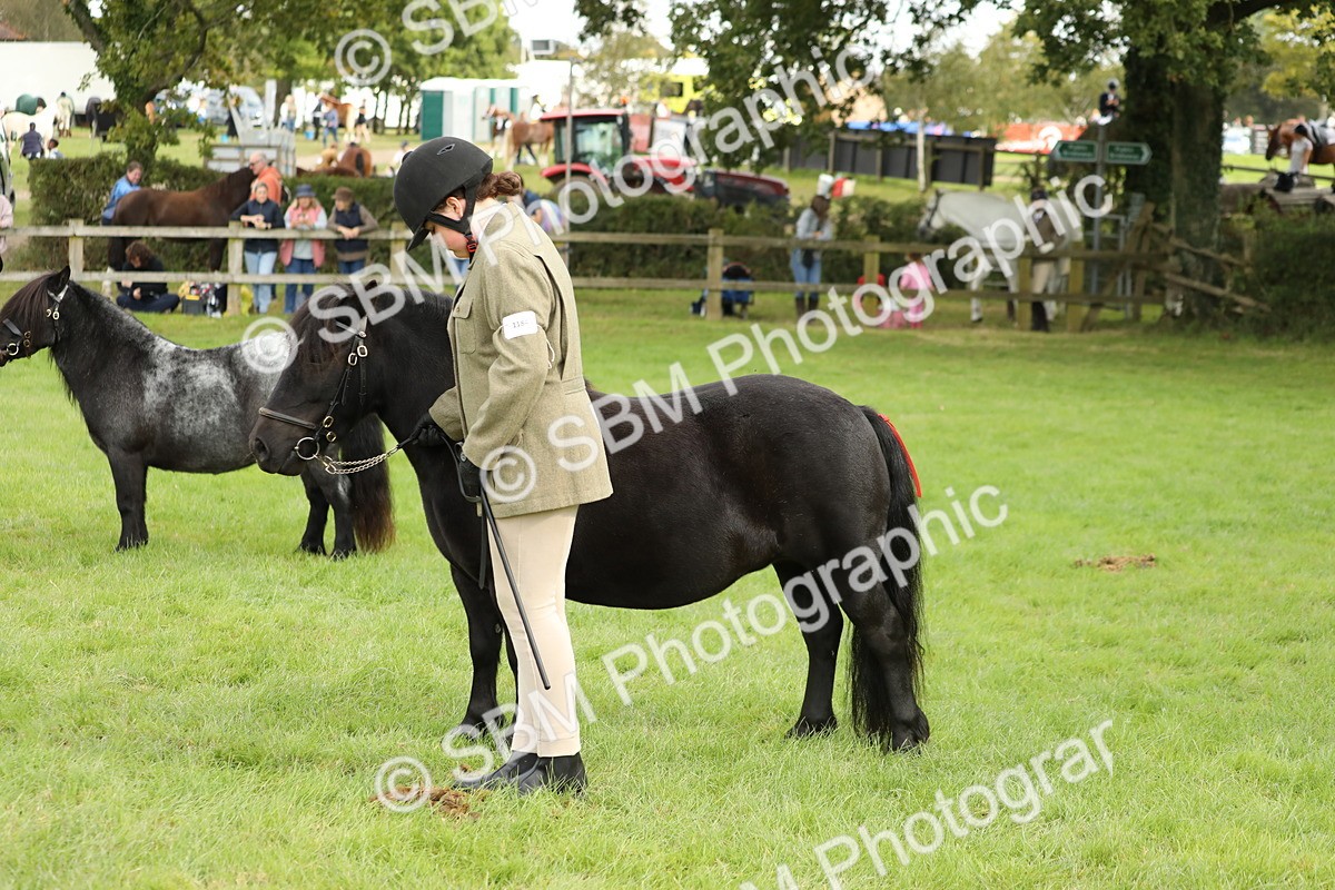 SBM_62778 - S46 - Mountain & Moorland In Hand Small Breeds