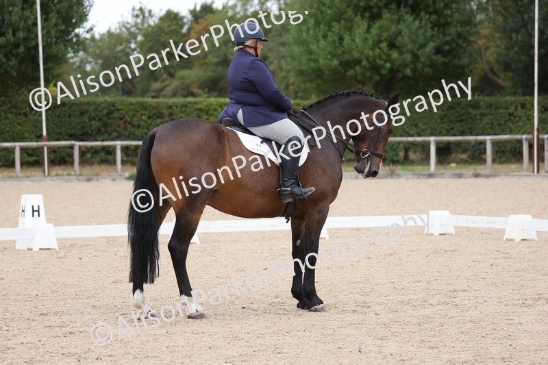 20250820-0586 - Class 14 - Prelim 5