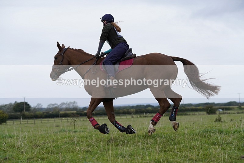 _DSC5421 - Time at Photographer 09:16 to 09:37