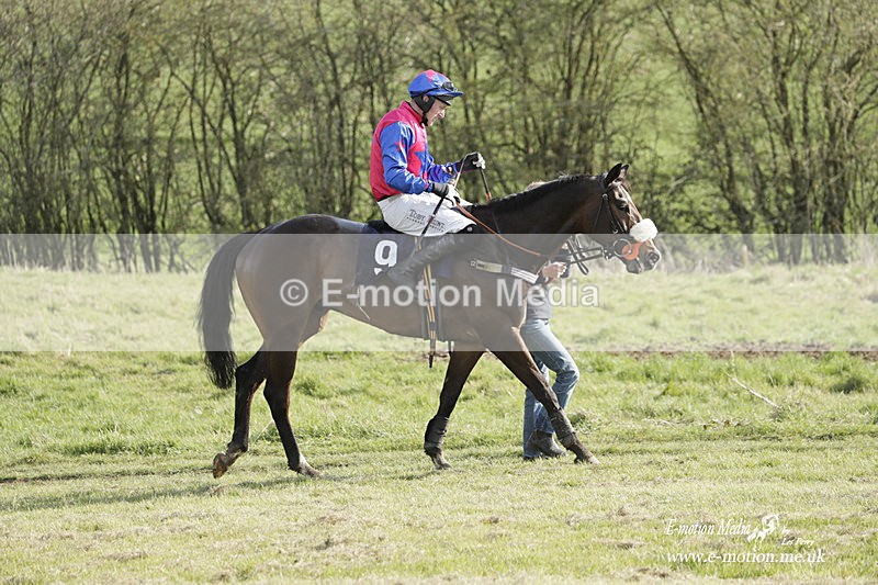 PtP 080423 869 - Dingley Races The Woodland Pytchley Hunt PtP 08/04/23