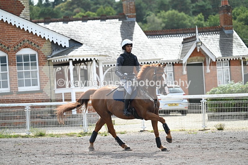 WJ7_1436 - Time 12:34 to 13:16