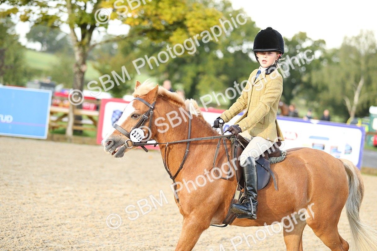 SBM_34141 - J60 Clear Round 50cm