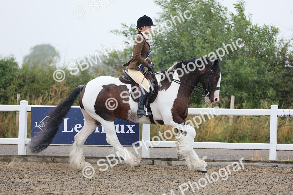 SBM_19993 - Class 801 - Ridden Veteran