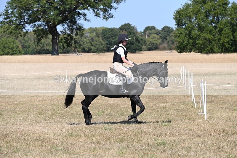 WJ6_8789 - Class 38 Ridden Riding Horse/Pony