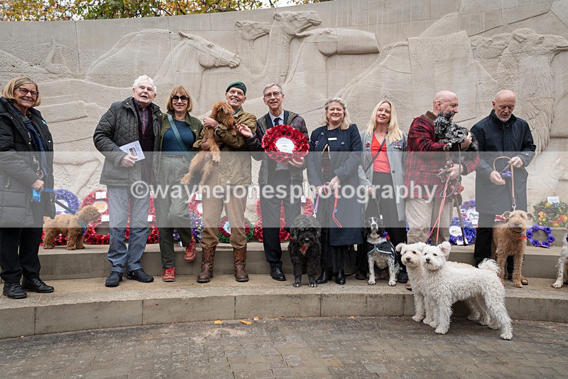 Z62_4692 - Animals In War Memorial 2025 - Park Lane, London