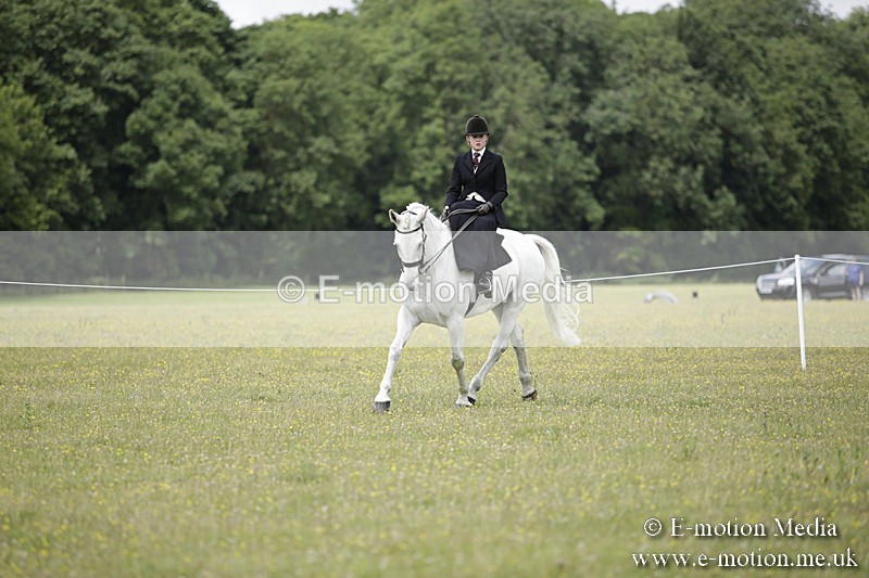 BVR160717-1955 - Side Saddle Classes 16/07/17