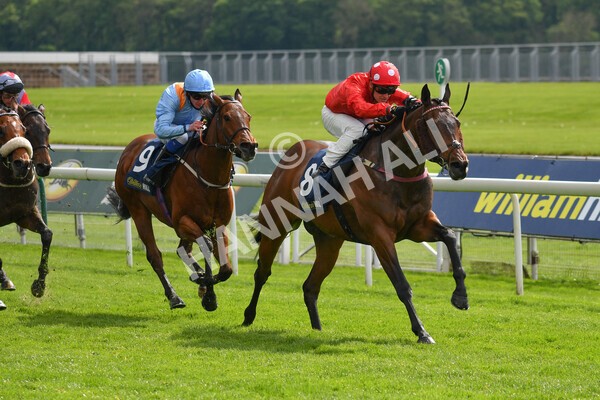 yr22052021r4-28 - Race 4 3.50pm WilliamHill.com Best Odds Guaranteed Stakes