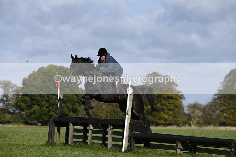 _DSC5434 - Time 10:49 to 11:23