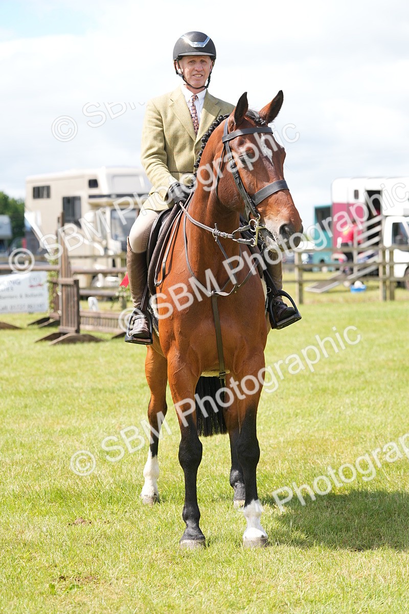 SBM_15060 - Class 100-102 - RIHS Working Hunter