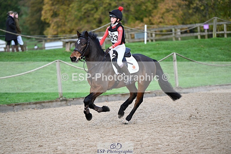 241117-091106-02802 - Cls 1 70-75cm 9.00 to End