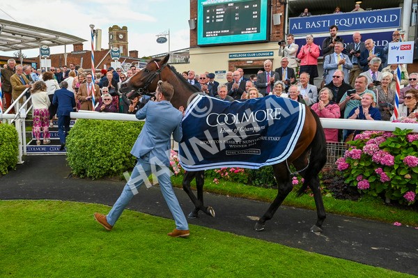 230824-Race 4-Bradsell-9204 - Race 4 3.35pm Coolmore Wootton Bassett Nunthorpe Stakes