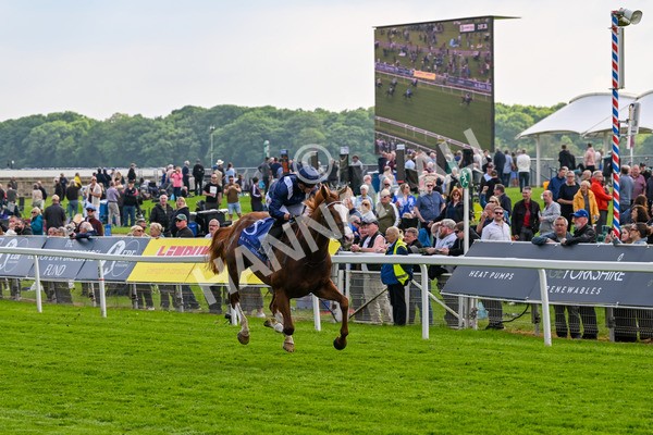 160524-Race 4-Economics-5970 - Race 4 3.45pm Al Basti Equiworld Dubai Dante Stakes