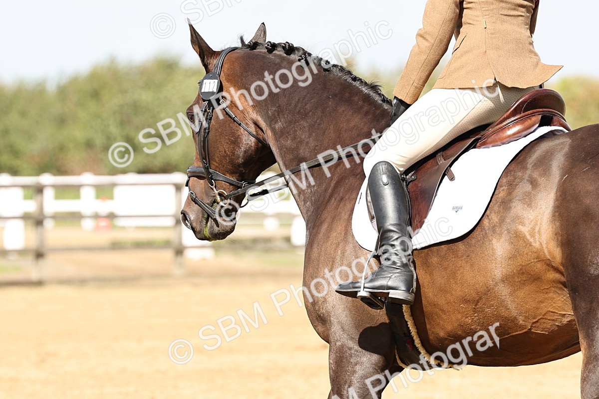 SBM_000894 - Class 46 - Novice 1 Combined Training