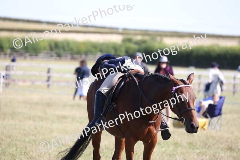 20260906-2254 - Class 16 - Family Pony