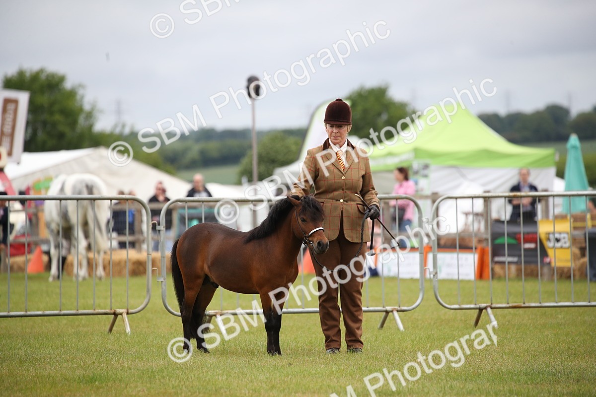 SBM_03683 - Class 23-25 - British Miniature Horse of the Year