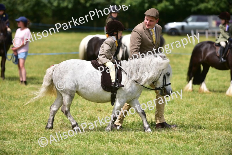 20260614-3650 - Class 15 - Prettiest Mare