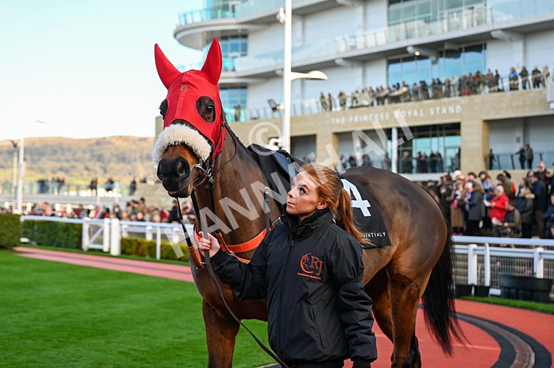 141224-Race 3-Autumn Return-0550 - Race 3