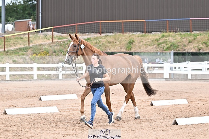 250716-134935-00680 - Trot Up 1.30 to 2.30