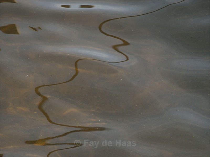  - Water gazing