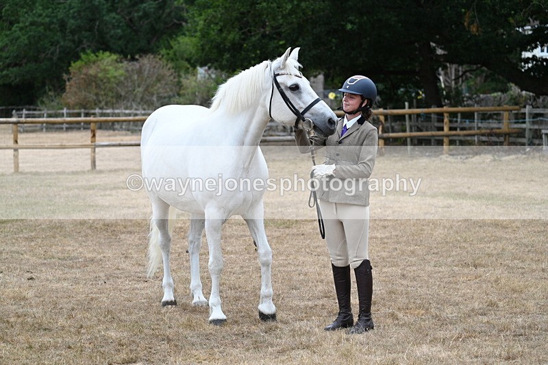 WJ7_9166 - Class 4a Prettiest Mare 14.2hh and over