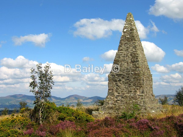 Pincin-Llys-Monument Clocaenog - Mixture A4