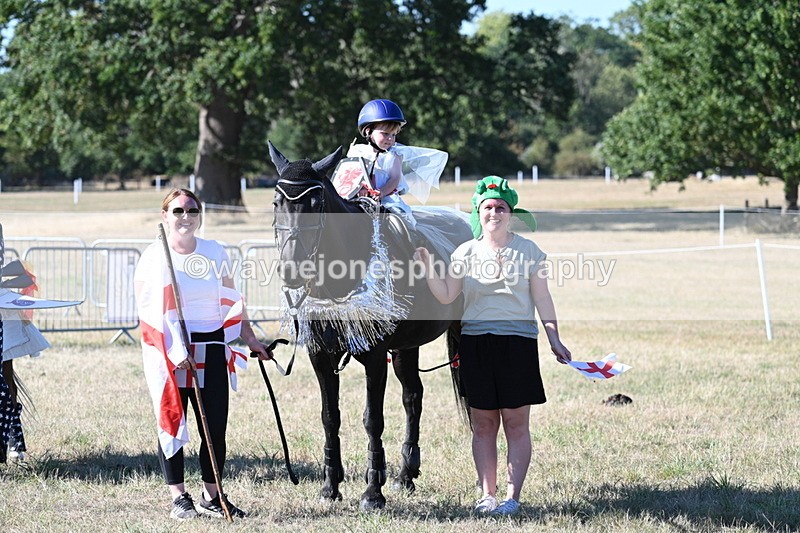 WJ7_2617 - Class 45 Fancy Dress (My Fav)