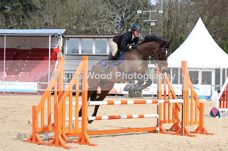 3E7A6835 - Class 4: Senior British Novice/90cm open