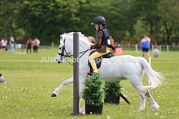 IMG_2359 - Working Hunter