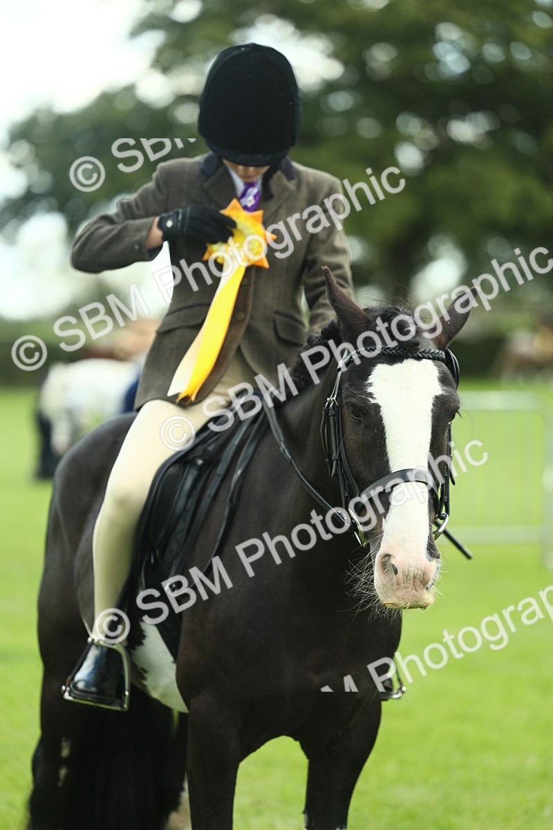 SBM_42204 - S29 - Novice & Newcomers Working Hunter Pony