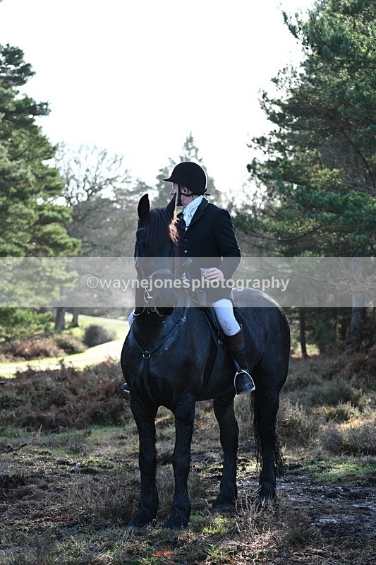 WJ7_7529 - Line 3 (no line 4 or 5)